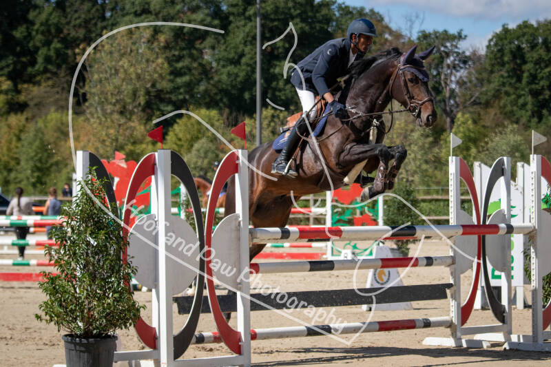 bouferterhaff-jumping-24-standard.jpg