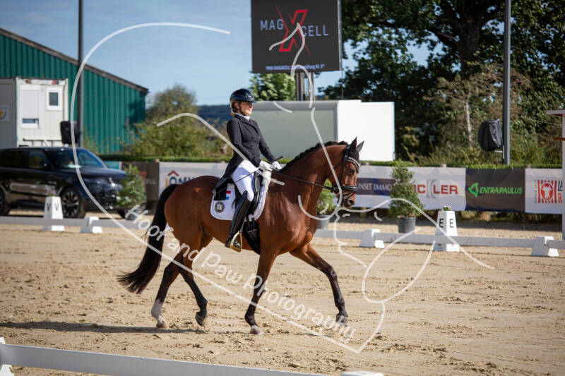 bouferterhaff-jumping-25-standard-388p04.jpg