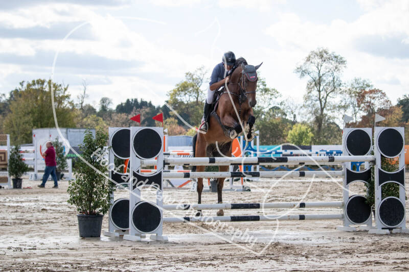 bouferterhaff-jumping-25-standard-n1936z.jpg