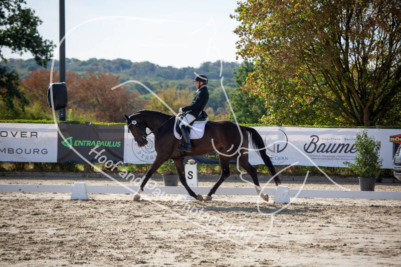 bouferterhaff-jumping-25-standard-tg1gpt.jpg