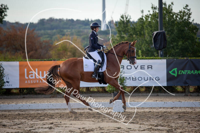 bouferterhaff-jumping-25-standard-u019q1.jpg