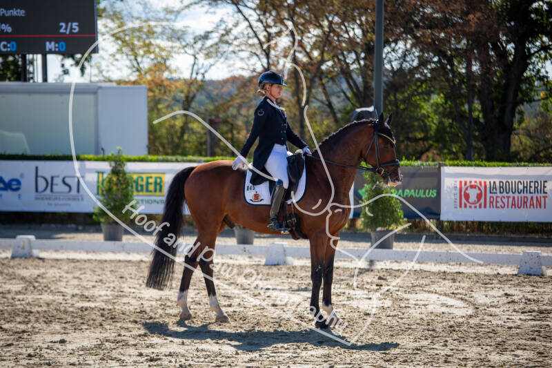 bouferterhaff-jumping-25-standard-v3t3wk.jpg
