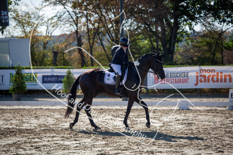bouferterhaff-jumping-25-standard-ygtmll.jpg