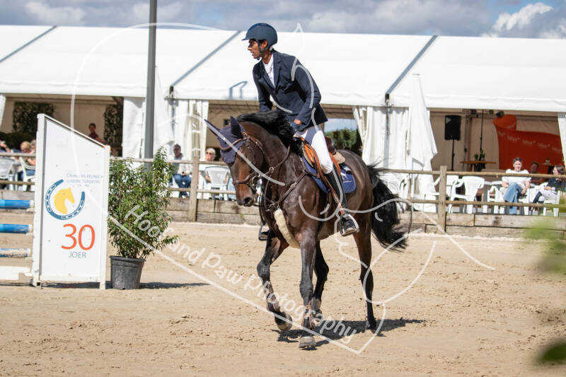 bouferterhaff-jumping-25-standard.jpg
