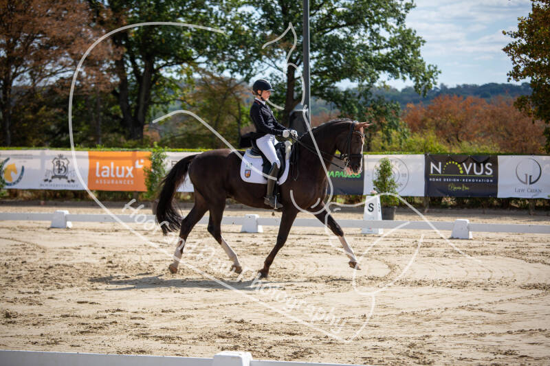 bouferterhaff-jumping-26-standard-43f5e8.jpg