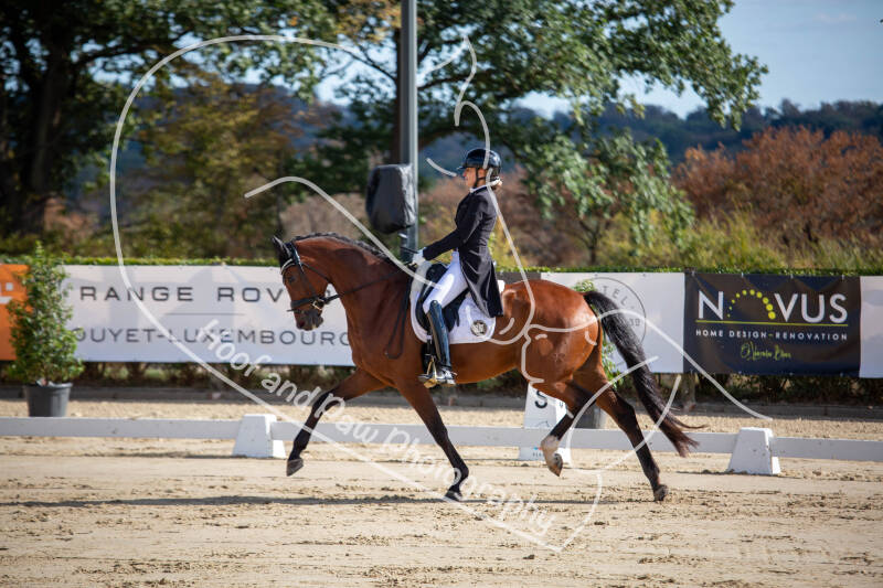 bouferterhaff-jumping-26-standard-55lggi.jpg