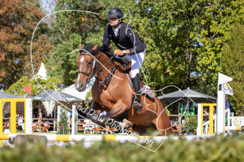 bouferterhaff-jumping-26-standard-fijujr.jpg