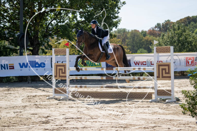 bouferterhaff-jumping-26-standard-l7oqd5.jpg