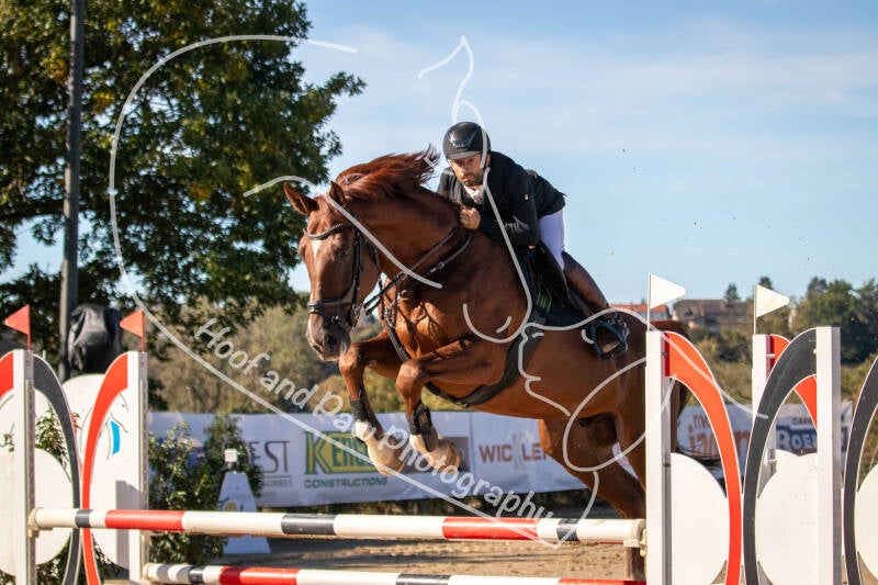 bouferterhaff-jumping-26-standard-ril8m7.jpg