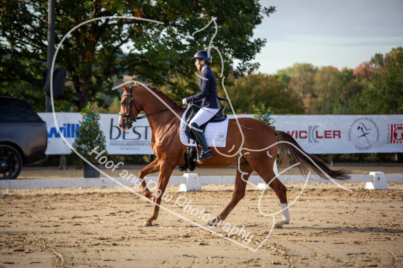 bouferterhaff-jumping-26-standard-t7sh7k.jpg