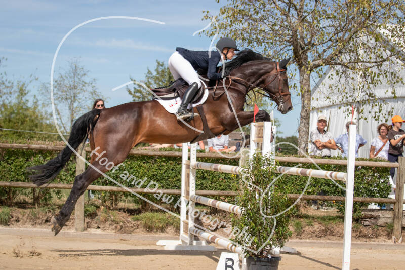 bouferterhaff-jumping-26-standard-tx71dd.jpg