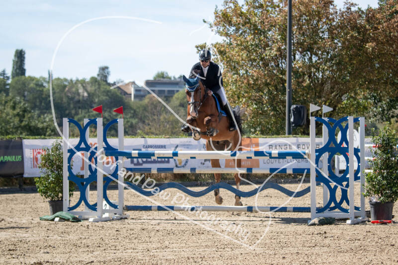 bouferterhaff-jumping-26-standard-ujh8vl.jpg