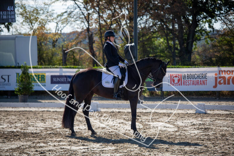 bouferterhaff-jumping-26-standard-xgkiul.jpg
