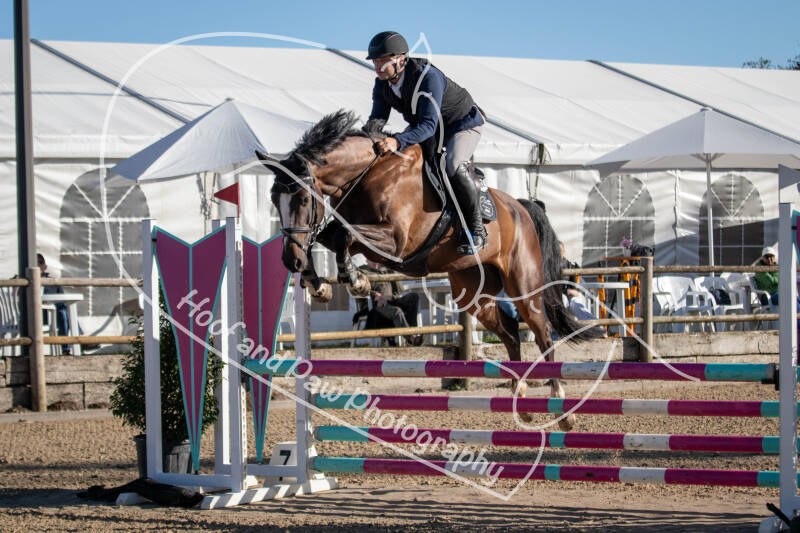 bouferterhaff-jumping-26-standard-xh3fd1.jpg