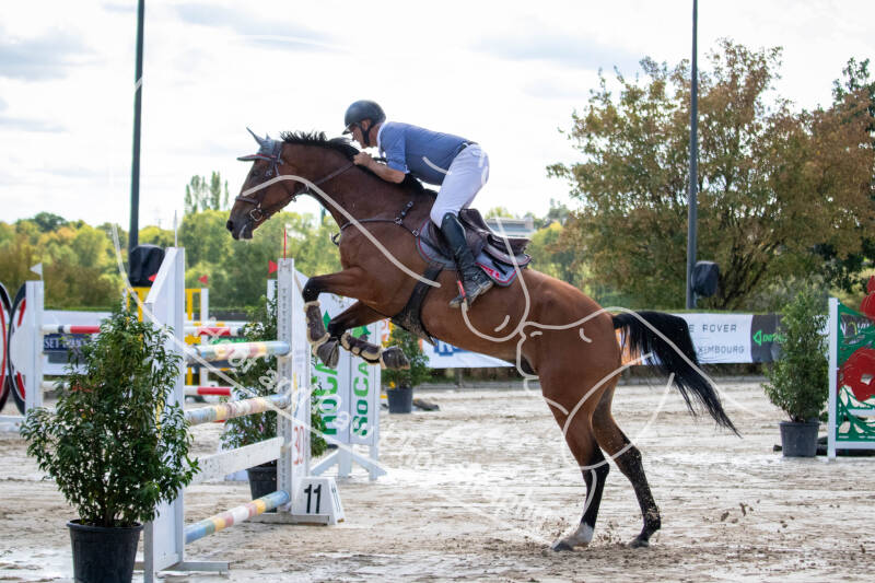 bouferterhaff-jumping-27-standard-0smojl.jpg