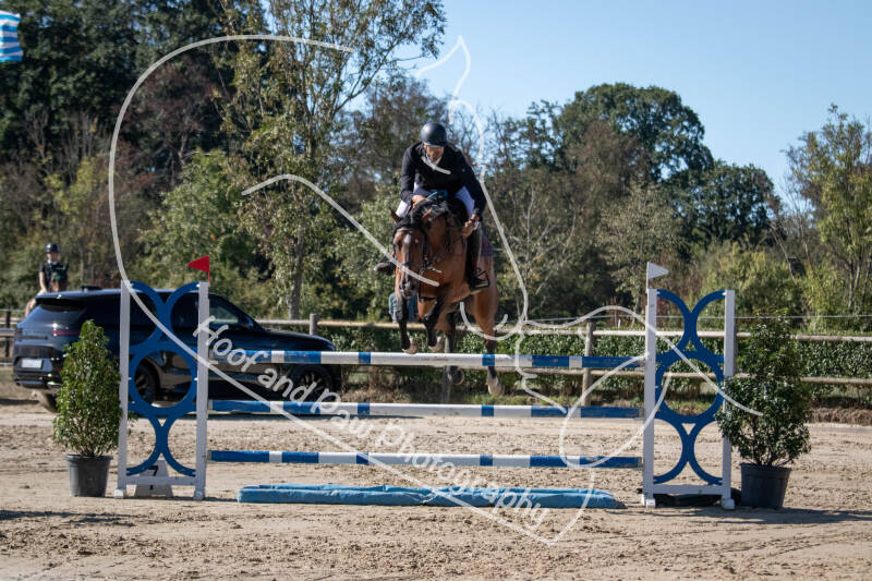 bouferterhaff-jumping-27-standard-7bvh4x.jpg
