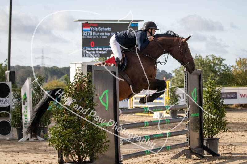 bouferterhaff-jumping-27-standard-8dla1g.jpg