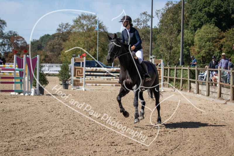 bouferterhaff-jumping-27-standard-mkln20.jpg