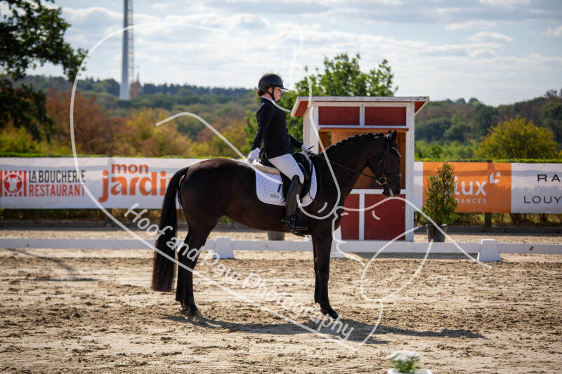 bouferterhaff-jumping-27-standard-p2r163.jpg