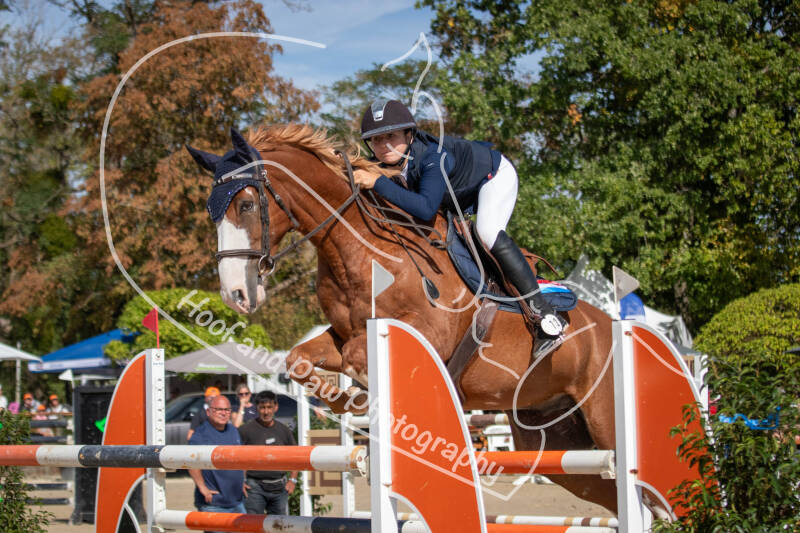 bouferterhaff-jumping-27-standard-shqbu0.jpg