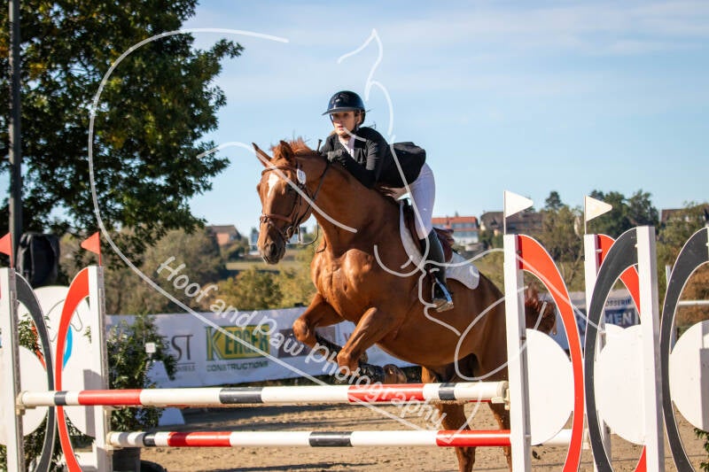 bouferterhaff-jumping-27-standard-vzt681.jpg