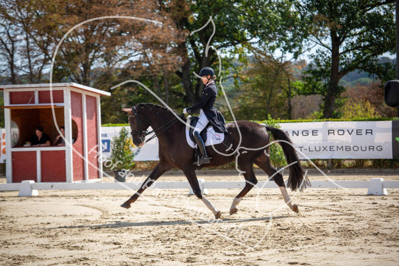 bouferterhaff-jumping-27-standard-w7dqxg.jpg