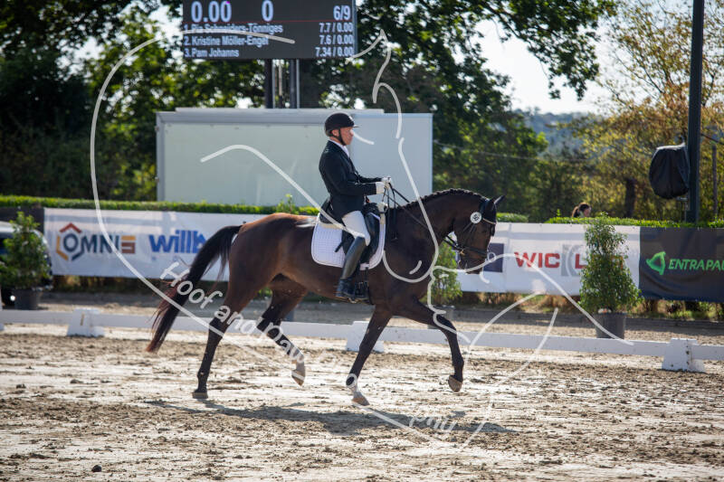 bouferterhaff-jumping-27-standard-xapq2g.jpg