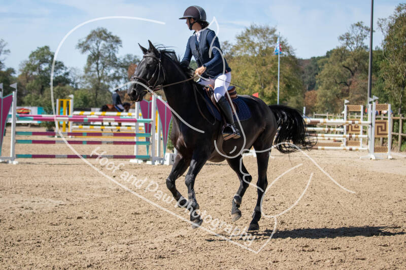 bouferterhaff-jumping-28-standard-0353le.jpg