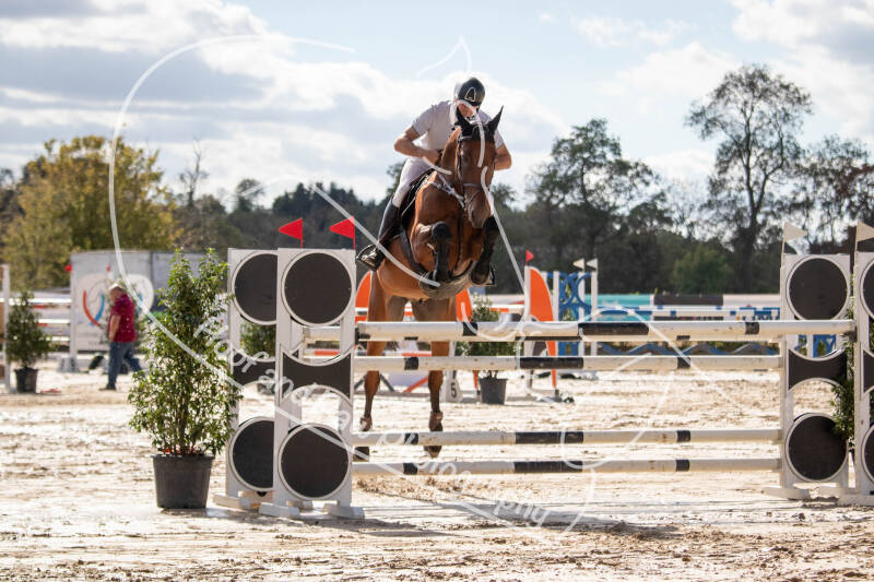 bouferterhaff-jumping-28-standard-6td2a9.jpg