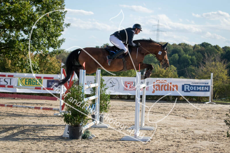 bouferterhaff-jumping-28-standard-b661ew.jpg