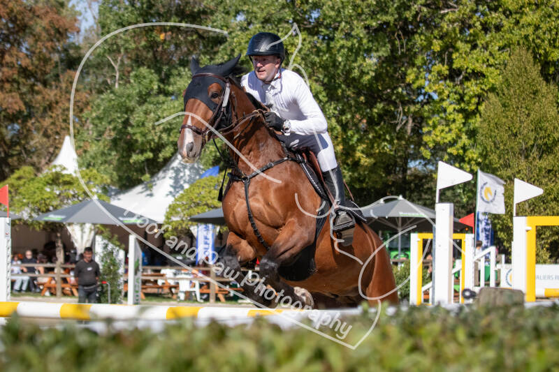 bouferterhaff-jumping-28-standard-cz4wk5.jpg