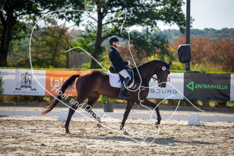 bouferterhaff-jumping-28-standard-genkcn.jpg