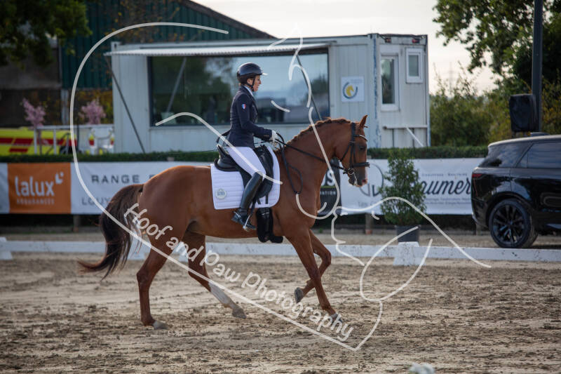 bouferterhaff-jumping-28-standard-j9va63.jpg
