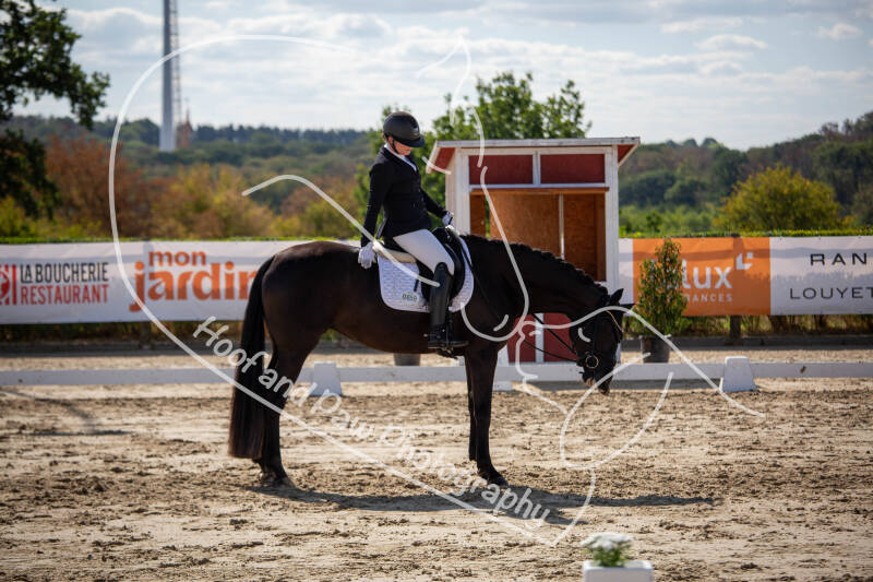 bouferterhaff-jumping-28-standard-ldsngn.jpg
