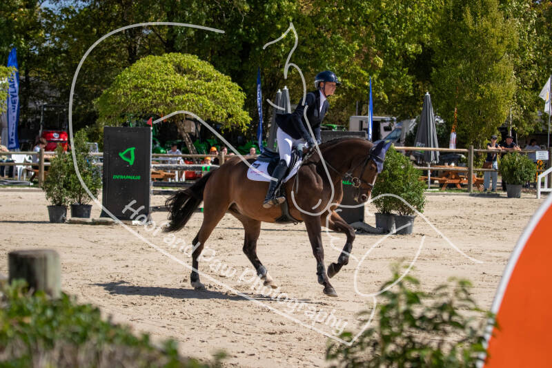 bouferterhaff-jumping-28-standard-lnm5xa.jpg