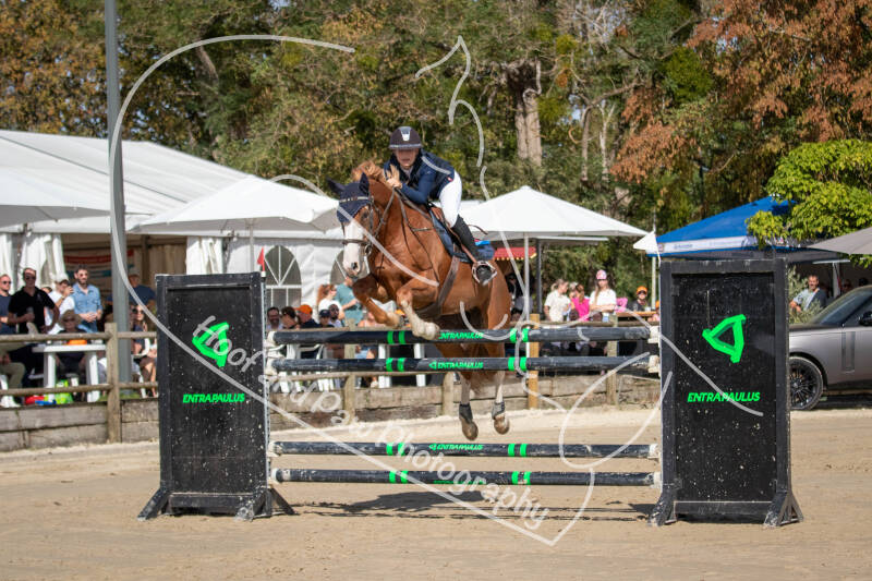 bouferterhaff-jumping-28-standard-mtdkt3.jpg