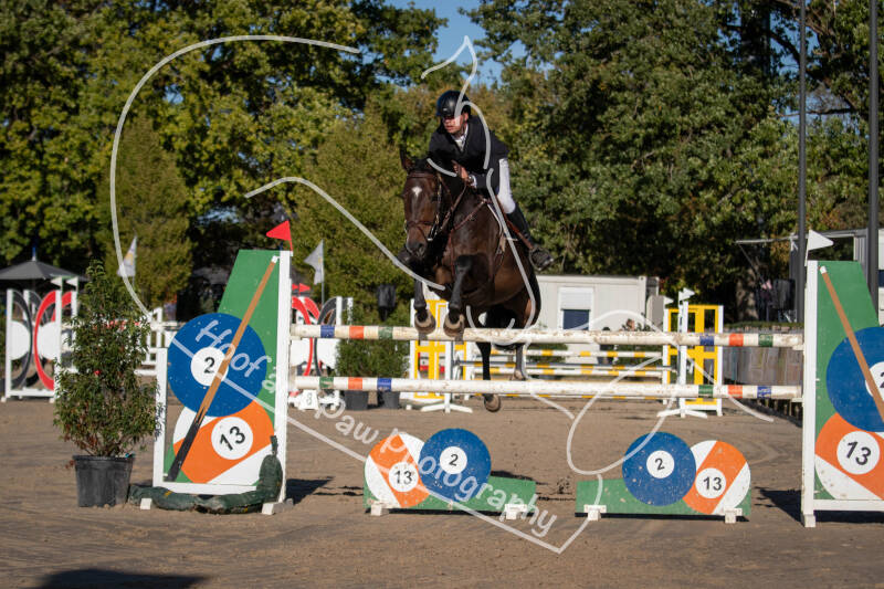 bouferterhaff-jumping-28-standard-vo4j62.jpg