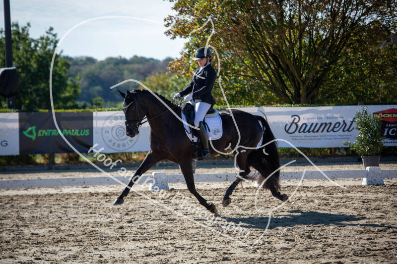 bouferterhaff-jumping-28-standard-x1833b.jpg