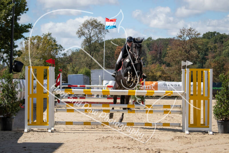 bouferterhaff-jumping-28-standard.jpg