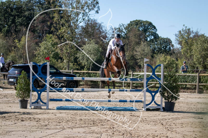 bouferterhaff-jumping-29-standard-3mjovp.jpg
