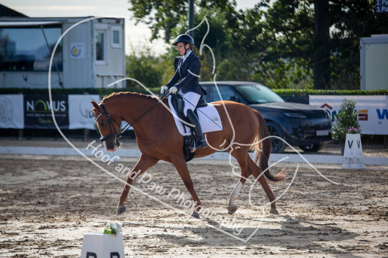 bouferterhaff-jumping-29-standard-6bih2u.jpg