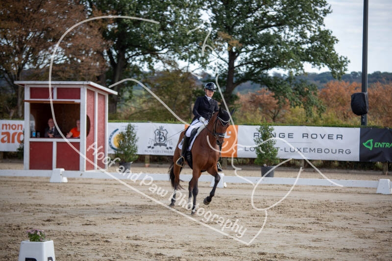 bouferterhaff-jumping-29-standard-g2nq3v.jpg