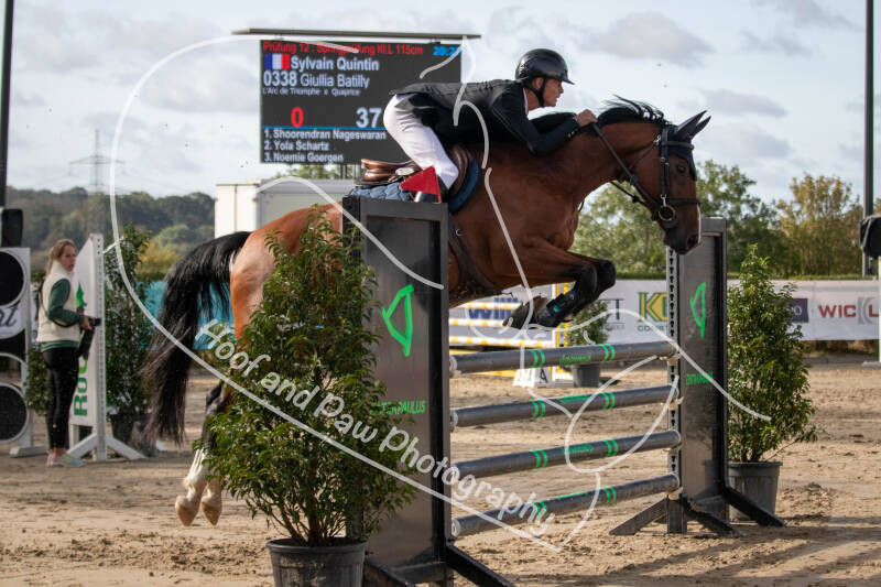 bouferterhaff-jumping-29-standard-hw3oeq.jpg