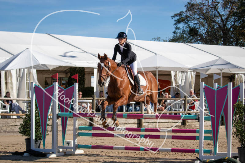 bouferterhaff-jumping-29-standard-k6na1c.jpg