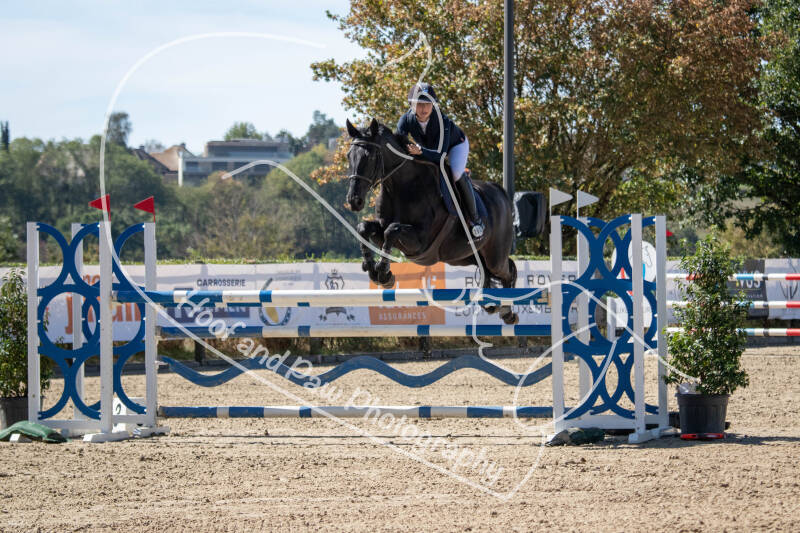 bouferterhaff-jumping-29-standard-ne7640.jpg