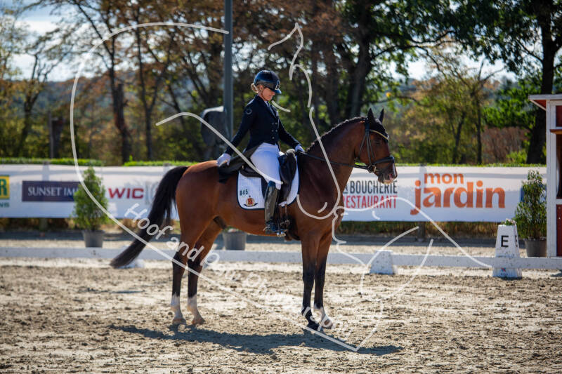 bouferterhaff-jumping-29-standard-nxz6s5.jpg