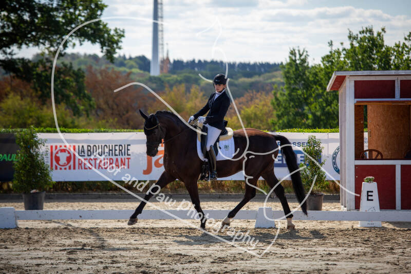bouferterhaff-jumping-29-standard-u4x15i.jpg