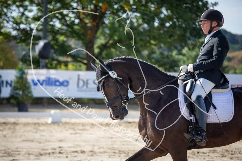 bouferterhaff-jumping-29-standard-v8ckjp.jpg