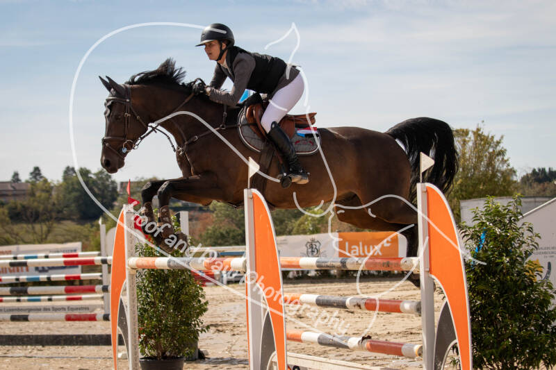 bouferterhaff-jumping-29-standard-z9gxzv.jpg