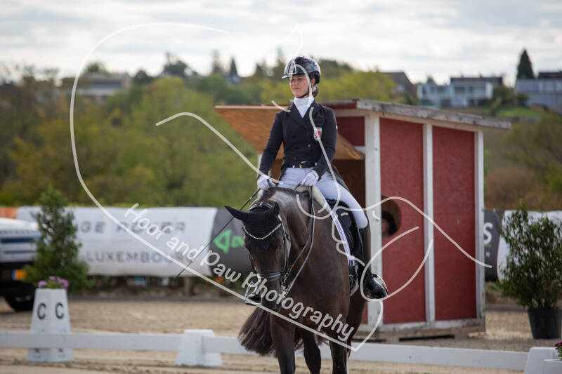 bouferterhaff-jumping-3-standard-352jia.jpg